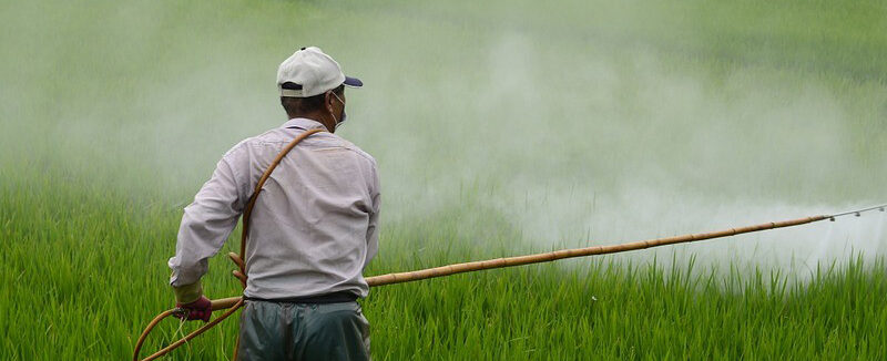 Câmara aprova projeto que altera regras de registro de agrotóxicos