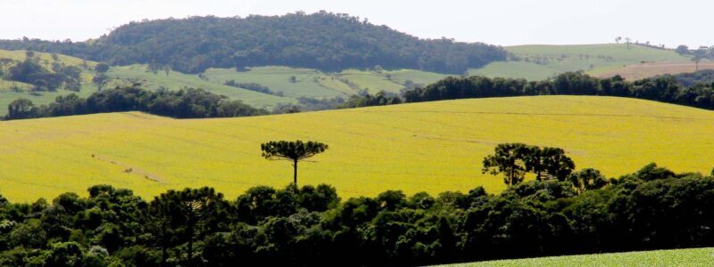 PIB do Paraná cresce 8,6% no primeiro semestre