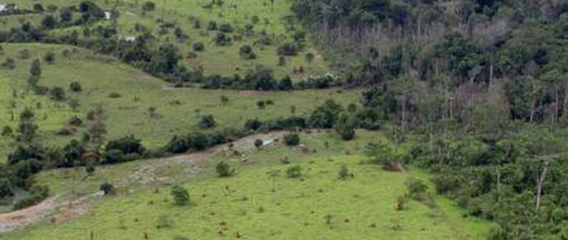 Termina hoje a entrega da Declaração do Imposto Territorial Rural