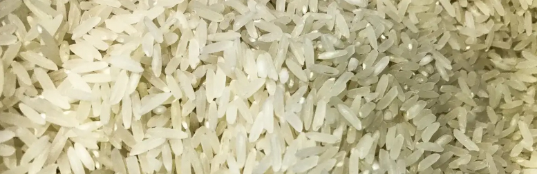 Conab compra 263,3 mil toneladas de arroz importado em leilão